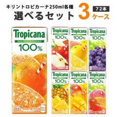 yňl풆zL Iׂ3P[Xi72{jgsJ[i100 250ml~24{~3P[Xyꕔn͏zpbN Abv 