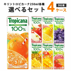 yňl풆zL Iׂ4P[Xi96{jgsJ[i100 250ml~24{~4P[Xyꕔn͏zzpbN Abv