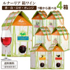 Iׂ C i[A 3L 3000ml ~ 4 yꕔn͏z ԃC C [C IWC rIfBi