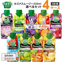 JS Iׂ4P[Xi48{jؐ100 SmoothieiX[W[j&W[X 330ml 12{~4P[Xyꕔn͏zO[ 