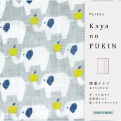 WAFUKA Kayano FUKIN ]E TYC-884 yrj[ܓYt\zŷ//bZ[WJ[hΉsz_