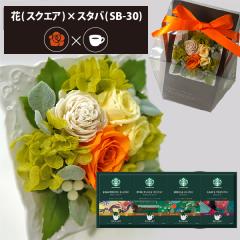 �v���U�[�u�h�t�����[ + �X�^�[�o�b�N�X �I���K�~ �R�[�q�[�Z�b�g �X�N�G�A (�I�����W) ��������(�ꕔ���O) �y_ HAREPB_