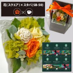 �v���U�[�u�h�t�����[ + �X�^�[�o�b�N�X �I���K�~ �R�[�q�[�Z�b�g �X�N�G�A (�I�����W) (��������) ��������(�ꕔ���O) �y_ HAREPB_