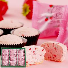 ����R�����o������ 䕂̏Ă��V���R�� 12�� IY-12 �y_