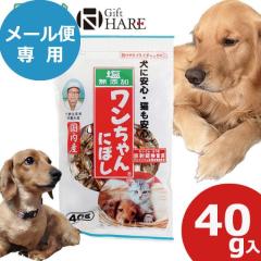 �����Y�� ���������ɂڂ� 40g 1�� �������� (���[����/�����s��)�y ����� �y�b�g �� �L �ɂڂ� �h�b�O�t�[�h �z_