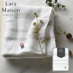 [֗p\  Lara Maison ] tFCX^I 64010 x[W { Q (kCE)ŷ