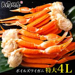 {CYCKjr 2kg ZNV 4LTCY(4`6)pϔ 킢 Jj  YCI O  I CN M