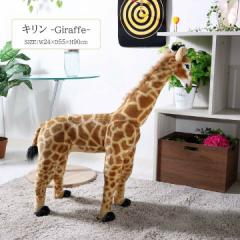 Aj}Xc[ L[fbc] 24~s55~90cm L  CeA Mtg Xc[ Aj} IuWF Giraffe  