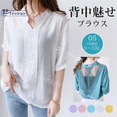 �u���E�X �V���c �ܕ��� �t�V�� ���������g�b�v�X �w������ �� �f�U�C���V���c ���f�B�[�X ���� ������ t�u���E�X �J�W���A�� �傫���T