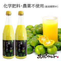 _sgp RV[N[T[ 720ml~2{Zbg V[N[T[ t RV[N[T[ V[N[T[ V[N[T[ 100% 