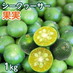 ���ꌧ�Y �؂� �V�[�N���[�T�[�ʎ� ��1kg�i��40�`50�O��j