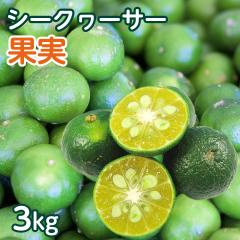 ���ꌧ�Y �؂� �V�[�N���[�T�[�ʎ� ��3kg�i��120�`150�O��j
