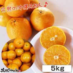 �����������ɏo�ג��� ���ꌧ�Y �^���J�� ��5kg ���� ���񂩂�