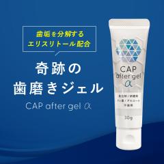 ��Ղ̎������W�F���qCAP after gel ���r 30g
