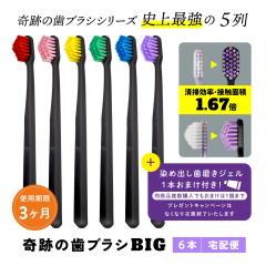 �������� ���u���V ���u���V�Z�b�g �����a ��Ղ̎��u���VBIG 6�{�Z�b�g ������ ��z�� ����