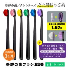  �������� ���u���V ���u���V�Z�b�g �����a ��Ղ̎��u���VBIG 6�{�Z�b�g ������ ����