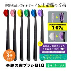  �������� ���u���V ���u���V�Z�b�g �����a ��Ղ̎��u���VBIG 6�{�Z�b�g ������ ����