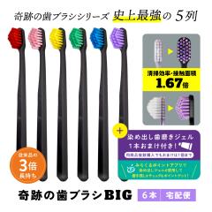 �������� ���u���V ���u���V�Z�b�g �����a ��Ղ̎��u���VBIG 6�{�Z�b�g ������ ��z�� ����