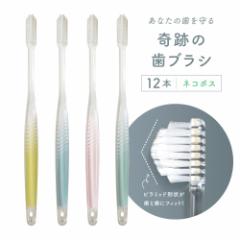 送料無料 歯ブラシ 歯ブラシセット 歯周病 奇跡の歯ブラシ 〈パステル〉12本セット 歯並び