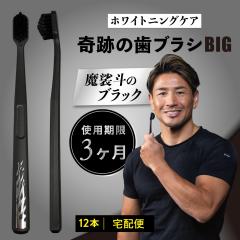 ���u���V �|�C���g���� �����a ��Ղ̎��u���VBIG �����l�̃u���b�N 12�{�Z�b�g ��z�� ������ ����