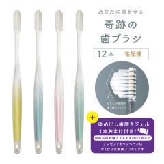 �������� ���u���V ���u���V�Z�b�g �����a ��Ղ̎��u���V �p�X�e�� 12�{�Z�b�g ������ ��z�� ����