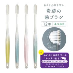 �������� ���u���V ���u���V�Z�b�g �����a ��Ղ̎��u���V �p�X�e�� 12�{�Z�b�g ������ ���� 