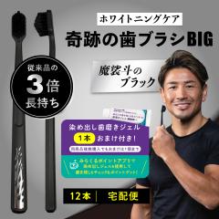 ���u���V �|�C���g���� �����a ��Ղ̎��u���VBIG �����l�̃u���b�N 12�{�Z�b�g ��z�� ������ ����