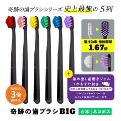  �������� ���u���V ���u���V�Z�b�g �����a ��Ղ̎��u���VBIG 6�{�Z�b�g ������ ����
