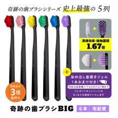 �������� ���u���V ���u���V�Z�b�g �����a ��Ղ̎��u���VBIG 6�{�Z�b�g ������ ��z�� ����