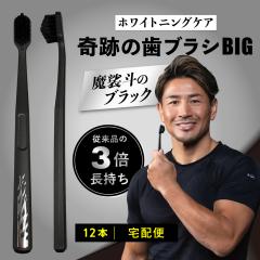 ���u���V �|�C���g���� �����a ��Ղ̎��u���VBIG �����l�̃u���b�N 12�{�Z�b�g ��z�� ������ ����