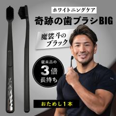 ���u���V �|�C���g���� �����a ��Ղ̎��u���VBIG �����l�̃u���b�N ������1�{ ������ ���� 