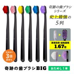 ���u���V �|�C���g���� �����a ��Ղ̎��u���VBIG ������1�{ ������ ���� 