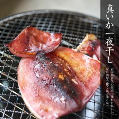 OY ^CJ̈銱 uvTCY Hׂ܂ CJ ߂ XCJ BBQ o[xL[ Lv