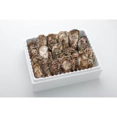 �L�����y �k�t �A�~�X�C �k�t���y 3kg�� (18�`24��)