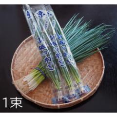 �H�c�_�� �R��̂˂� 1kg �˂� �l�M �K ���l�M ���s�Y 1kg ����� �����X�`