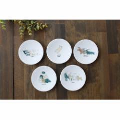 �ۃ����ؓ��� ��錢���M 5���Z�b�g ���b�s���O�L 0100-087-00 �M�t�g ���蕨 �� �M