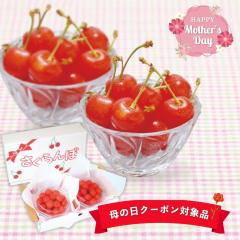 ��̓�2026 �M�t�g �R�`���Y ������ �n�E�X�������� �G�i�EM�`L�T�C�Y 100g�~2�Z�b�g �v200g �K���̉ʎ� ���낤 �퉷 ���ϔ� ���b�Z�[