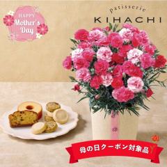 ��̓�2026 �M�t�g �J�[�l�[�V����(��������Ȃ�)�Ɓu�p�e�B�X���[ �L�n�`�v�A�\�[�gBOX4��8�� �Ă��َq �o�X�P�b�g �N�b�L�[ �o�[���N