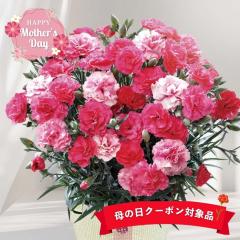 ��̓�2026 �M�t�g �J�[�l�[�V���� ��������Ȃ� 5���� �o�X�P�b�g ���b�Z�[�W�J�[�h