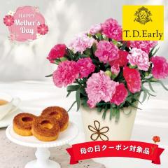 ��̓�2026 �M�t�g �J�[�l�[�V����(�z�b�g�n�[�g)�ƁuT.D.Early�v�L���������[�o�E��7�� ���A�� �M�t�g