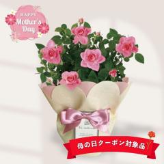 ��̓�2026 �M�t�g �~�j�o�� �s���N 4�� ���C�[�� ���b�Z�[�W�J�[�h ���ϔ� �퉷