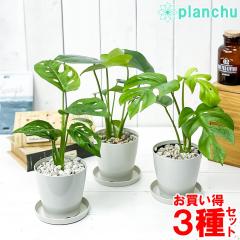 ϗtA Xe  qXe  }hJY 3Zbg 3.5 󂯎Mt ĕt