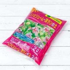 ���������| �V���r�W���[���E�m�����̓y 2L JAN4560204591415