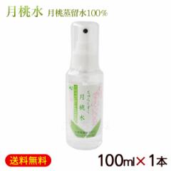 ������ ����炵���� 100ml�~1�{�@/����������100�� ���Y�� ���ϐ��yK�ցz