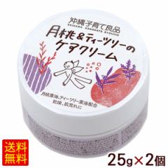 �������e�B�[�c���[�̃P�A�N���[�� 25g�~2�@����q��ėǕi �yP�ցz