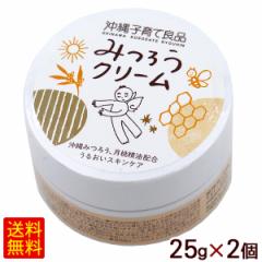 �݂낤�N���[�� 25g�~2�@����q��ėǕi �yP�ցz