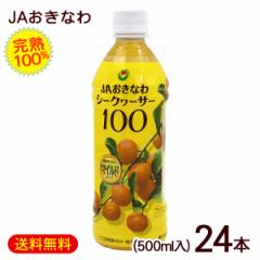 V[N[T[100 }Ch 500ml~24{@/ʏ`100 JAȂ nV[N[T[W[X t 1P[X