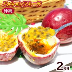 �p�b�V�����t���[�c ��2kg�i20�`30�ʁj�@/����Y ������p