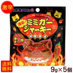 �I�L�n�� ���h�~�~�K�[�W���[�L�[ 9g�~5��  �yM�ցz�|�C���g����