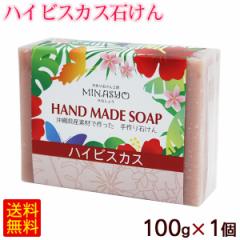 �n�C�r�X�J�X�΂��� 100g�~1�� �yM�ցz